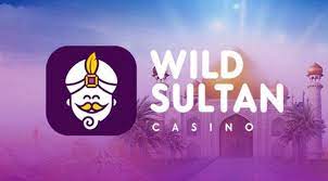 You are currently viewing Tout savoir sur Wild Sultan Casino