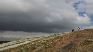 Lire la suite à propos de l’article Terril du Pétria : Un joyau naturel en Belgique